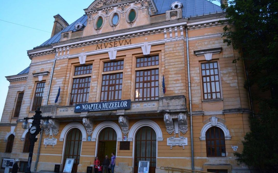 Lecție deschisă la Muzeul Județean Botoșani