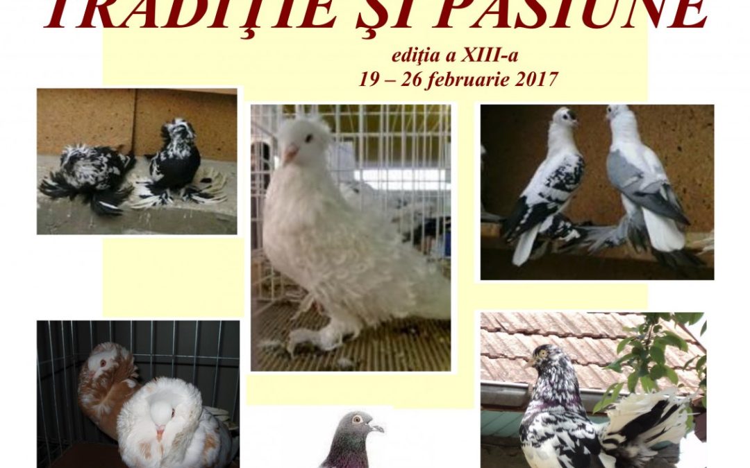 Columbofilia – tradiţie şi pasiune, ediţia a XIII-a.