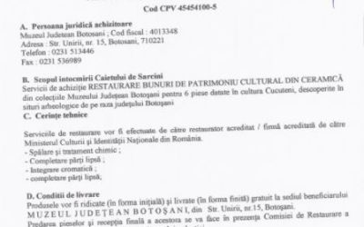 Caiet de sarcini achizitie restaurare bunuri culturale