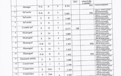 Lista functiilor din cadrul Muzeului Judetean Botosani