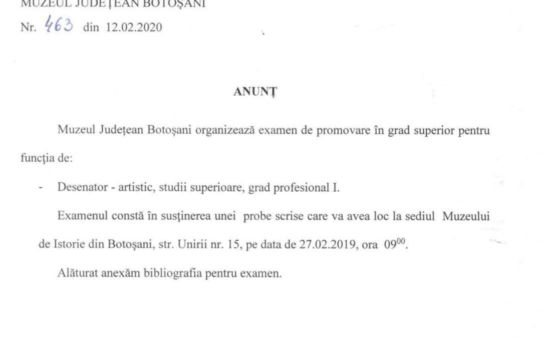 Examen promovare desenator artistic