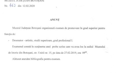 Examen promovare desenator artistic