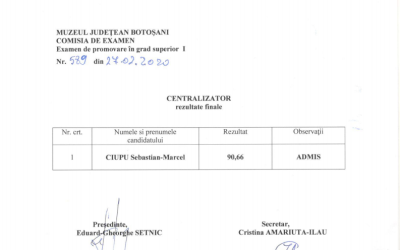 Anunt cu rezultatele finala – desenator artistic