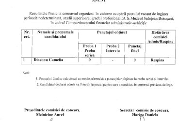 Rezultate finale inginer