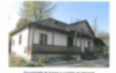 Anunț pentru achiziții servicii organizare eveniment Liveni