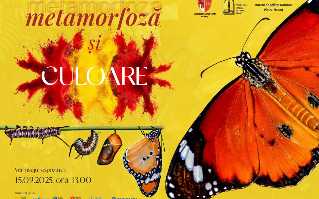 Expoziția temporară „Metamorfoză și culoare”