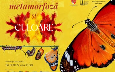 Expoziția temporară „Metamorfoză și culoare”